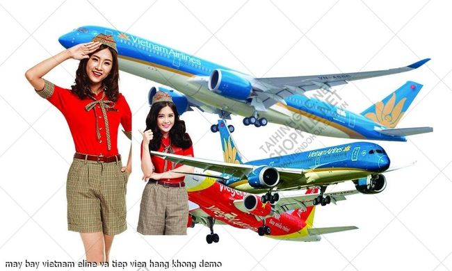 may bay vietnam eline va tiep vien hang khong 